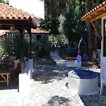 Nikos 考考纳里斯