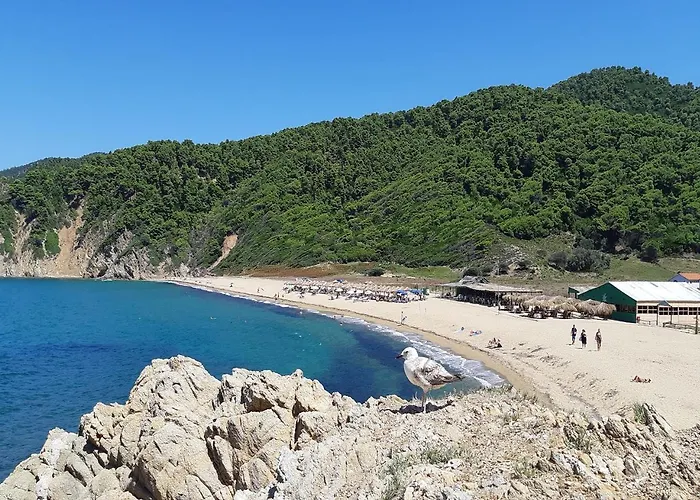 Nikos 3* Koukounaries