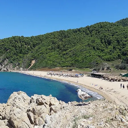 Nikos 4* Koukounaries